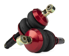 AirLift Universal Builder Struts Compact