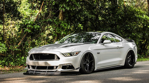 * Ford Mustang (S550) 2015-2019
